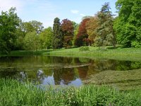 NL, Gelderland, Rheden, NP Veluwezoom 4, Saxifraga-Henk Sierdsema